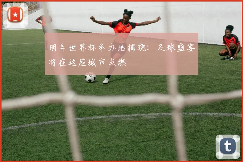 明年世界杯举办地揭晓：足球盛宴将在这座城市点燃