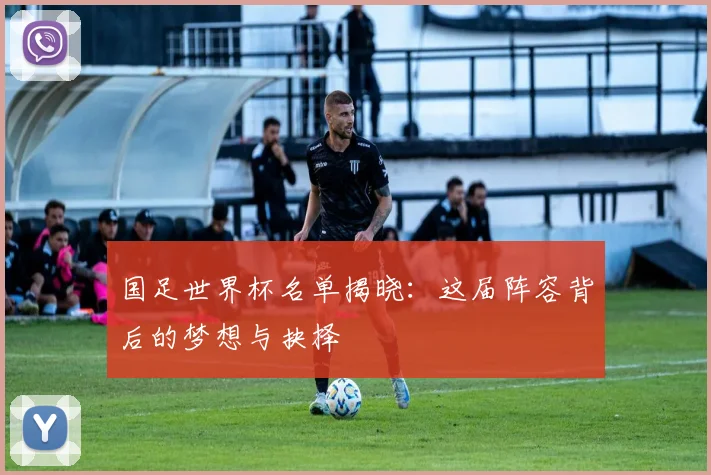 国足世界杯名单揭晓：这届阵容背后的梦想与抉择
