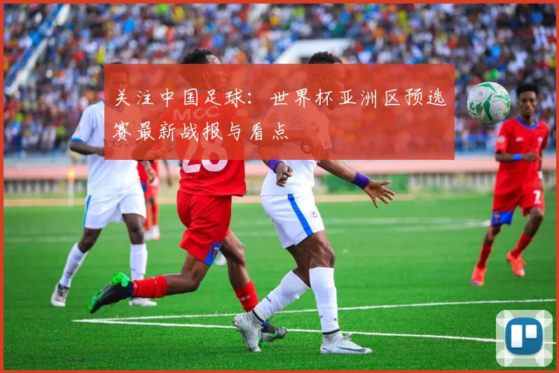 关注中国足球：世界杯亚洲区预选赛最新战报与看点