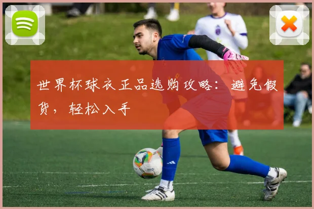 世界杯球衣正品选购攻略：避免假货，轻松入手